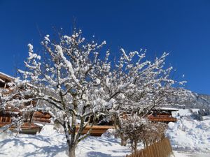 23468277-Ferienwohnung-2-Alpbach-300x225-4