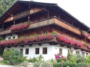Ferienwohnung für 4 Personen (35 m²) in Alpbach