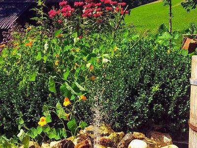 Am Springbrunnen