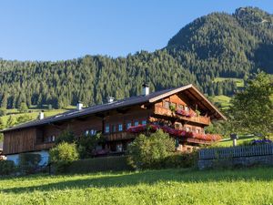 Ferienwohnung für 4 Personen (60 m²) in Alpbach