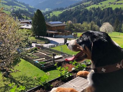 Blick auf Gratlspitz