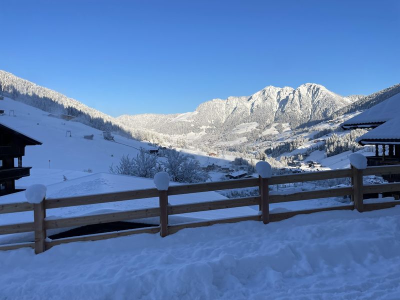 23875600-Ferienwohnung-5-Alpbach-800x600-0