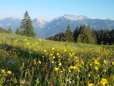 Moaeben Alpbach Holralm