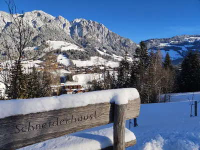 Ausblick mit Bankerl