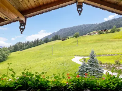 Aussicht vom Ferienhaus [Sommer]