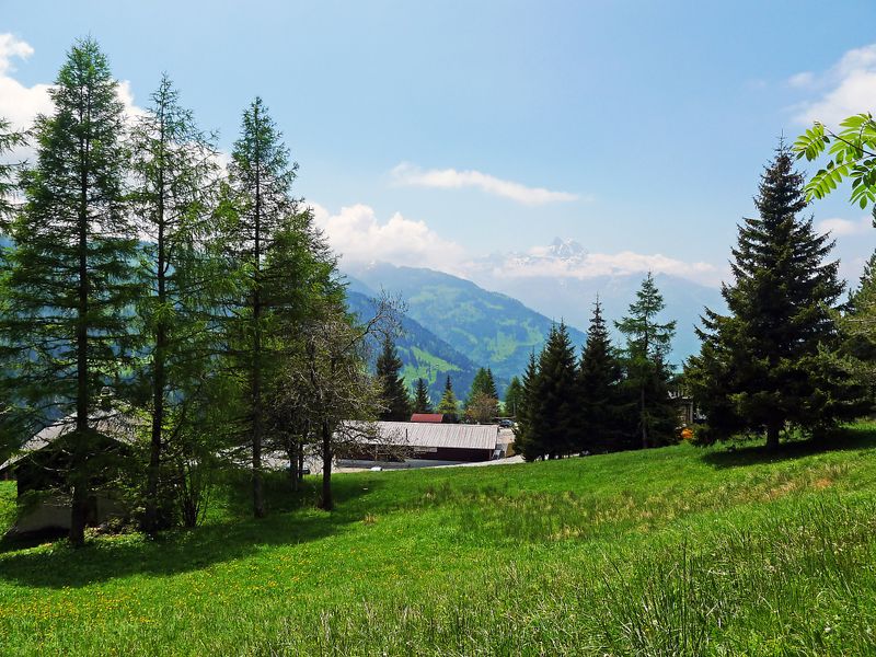 23844180-Ferienwohnung-2-Alpe des Chaux-800x600-2