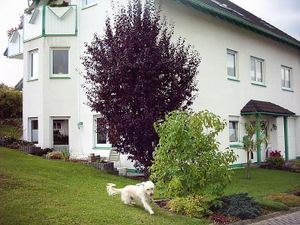 Ferienwohnung für 4 Personen (40 m&sup2;) in Alpenrod