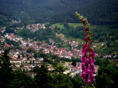 Blick auf Gesamtstadt