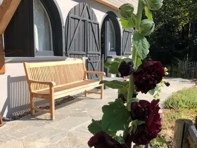 Ferienwohnung für 3 Personen (50 m²) in Alpirsbach 10/10