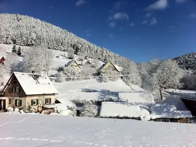 Ferienwohnung für 4 Personen (78 m²) in Alpirsbach 9/10