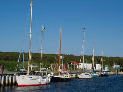 Ferienwohnung für 4 Personen (77 m²) in Alt Reddevitz 10/10
