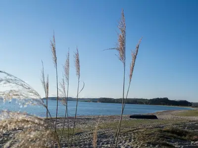 Ferienwohnung für 4 Personen (77 m²) in Alt Reddevitz 8/10