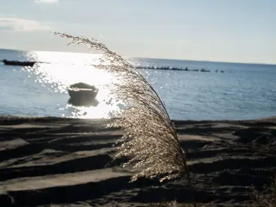 Ferienwohnung für 4 Personen (77 m²) in Alt Reddevitz 10/10