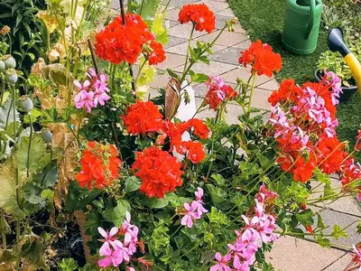 Ferienwohnung für 4 Personen (70 m²) in Alt-Sammit 10/10