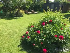 Ferienwohnung für 2 Personen (70 m²) in Altefähr auf Rügen