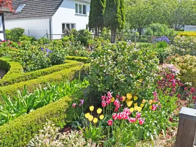 Ferienwohnung für 3 Personen (26 m²) in Altefähr auf Rügen 10/10
