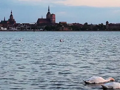 Ferienwohnung für 2 Personen (42 m²) in Altefähr auf Rügen 8/9