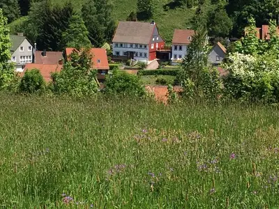 Ferienwohnung für 4 Personen (80 m²) in Altenau 3/10