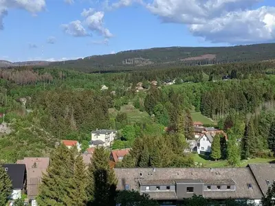 Ferienwohnung für 3 Personen (48 m²) in Altenau 3/10