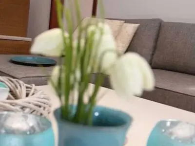 Ferienwohnung für 4 Personen (54 m²) in Altenau 5/10