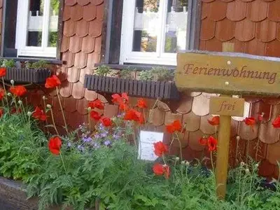 Ferienwohnung für 4 Personen (50 m²) in Altenau 4/10