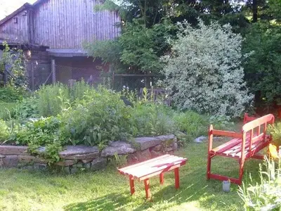 Ferienwohnung für 4 Personen (50 m²) in Altenau 6/10