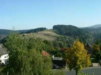Ferienwohnung für 5 Personen (45 m²) in Altenau 2/10