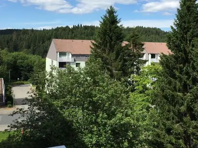 Ferienwohnung für 6 Personen (57 m²) in Altenau 2/10