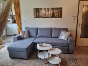 Ferienwohnung für 4 Personen (52 m²) in Altenau