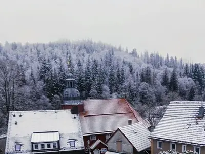 Ferienwohnung für 4 Personen (40 m²) in Altenau 2/10