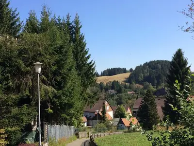 Ferienwohnung für 4 Personen (45 m²) in Altenau 4/10