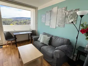 Ferienwohnung für 2 Personen (35 m²) in Altenau