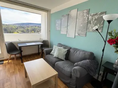 Ferienwohnung für 2 Personen (35 m²) in Altenau 1/10