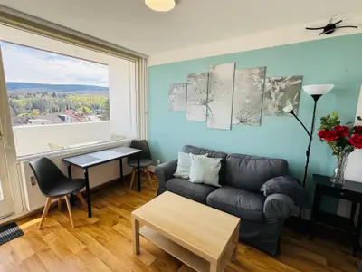 Ferienwohnung für 2 Personen (35 m²) in Altenau 2/10