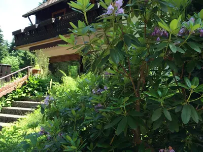 Ferienwohnung für 6 Personen (60 m²) in Altenau 7/10