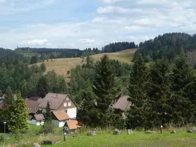 Ferienwohnung für 2 Personen (50 m²) in Altenau 2/10