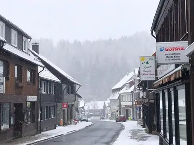 Ferienwohnung für 3 Personen (39 m²) in Altenau 8/10