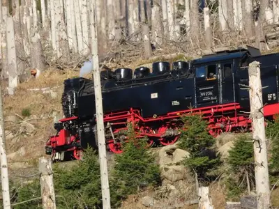 Ferienwohnung für 3 Personen (39 m²) in Altenau 10/10
