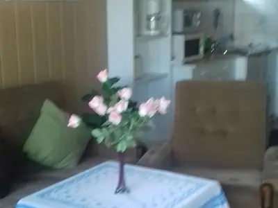 Ferienwohnung für 5 Personen (50 m²) in Altenberg 4/10