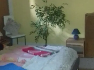 Ferienwohnung für 5 Personen (50 m²) in Altenberg 6/10