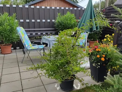 Ferienwohnung für 2 Personen (50 m²) in Altenberg 3/10