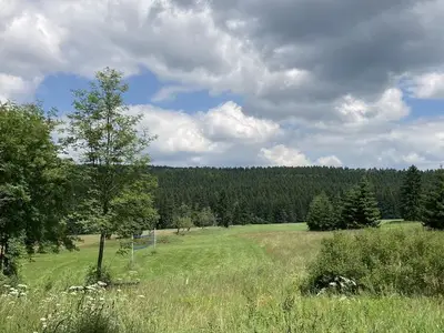Ferienwohnung für 4 Personen (42 m²) in Altenberg 6/10