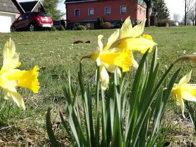 Ferienwohnung für 4 Personen (50 m²) in Altenberg 9/10