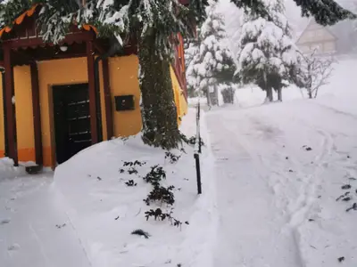 Polderhof