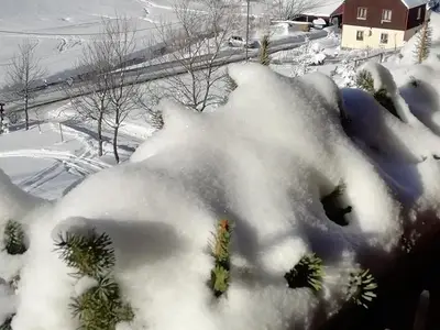 Ferienwohnung für 4 Personen (65 m²) in Altenberg 8/10