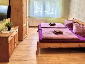 Ferienwohnung für 3 Personen (39 m²) in Altenburg