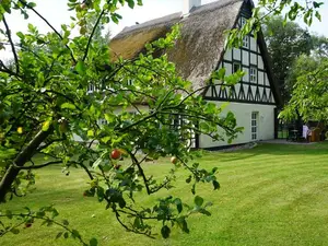 Ferienwohnung für 4 Personen (45 m²) in Schwarbe auf Rügen
