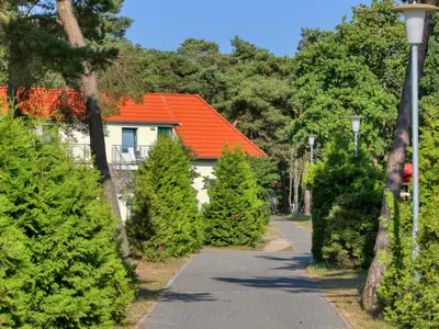 outside