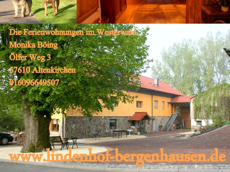 24008744-Ferienwohnung-5-Altenkirchen (Westerwald)-800x600-1