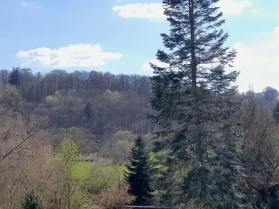 Wald